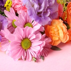 あおマリのカウンセラーさんは皆さん頼れる方ばかりです