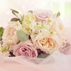 スピード感が決め手で結婚相談所を選びました